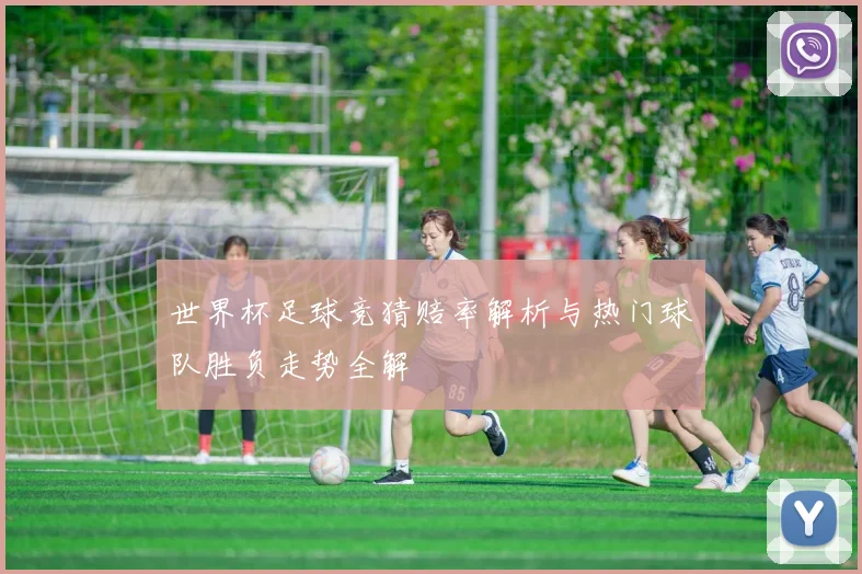 世界杯足球竞猜赔率解析与热门球队胜负走势全解